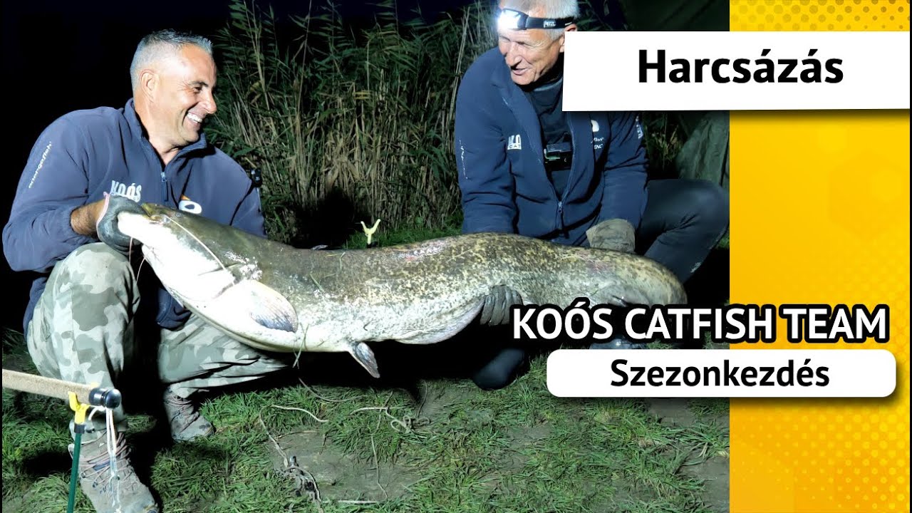 Az idei érmünk első oldala - Koós Catfish Team