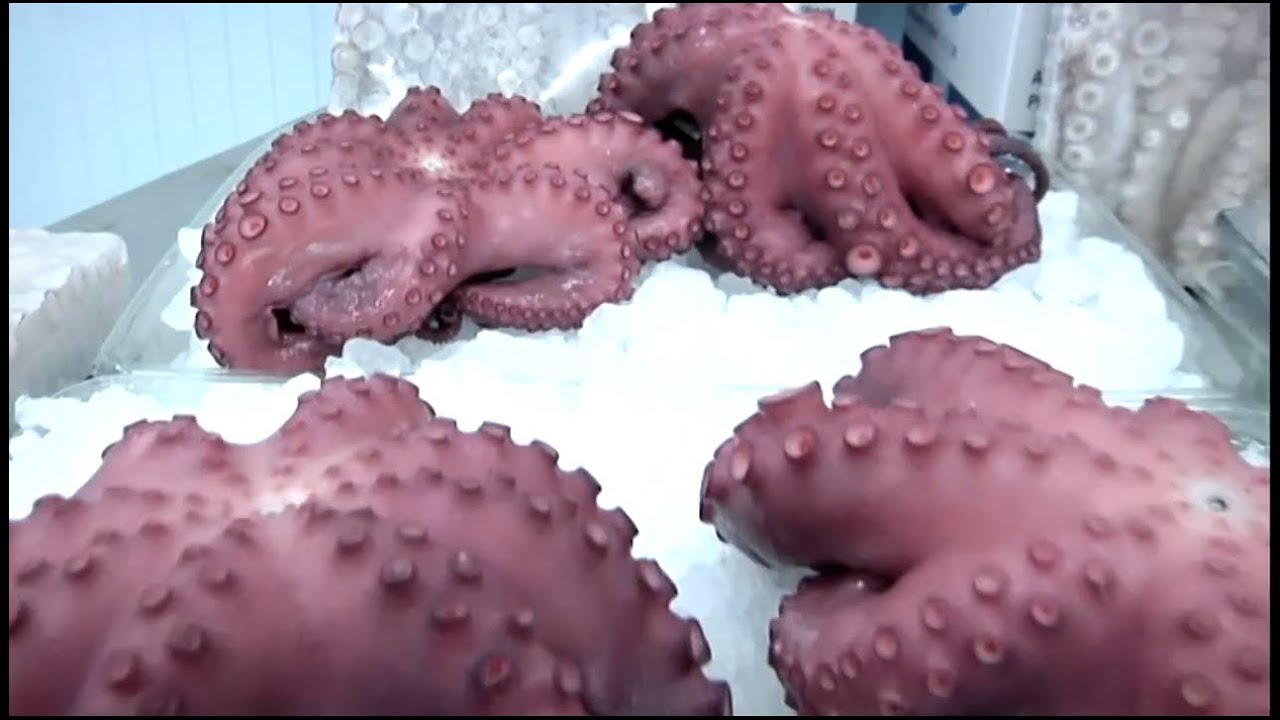 Pulpo de Ayamonte, en Huelva