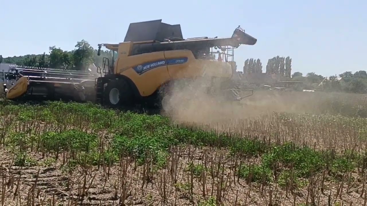Žatva 2024|SPD Veselé a PD Vrbové|New Holland CR9.90 +MacDon