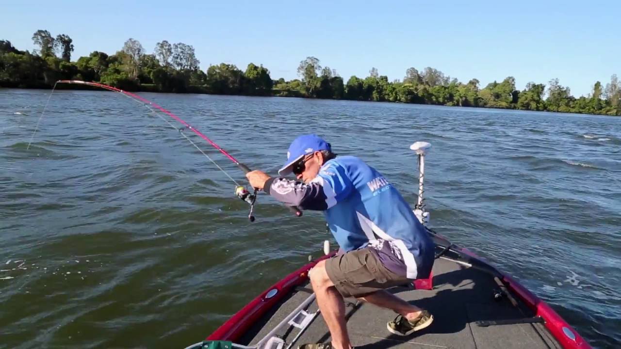 Bream Fishing With Hard Body Lures