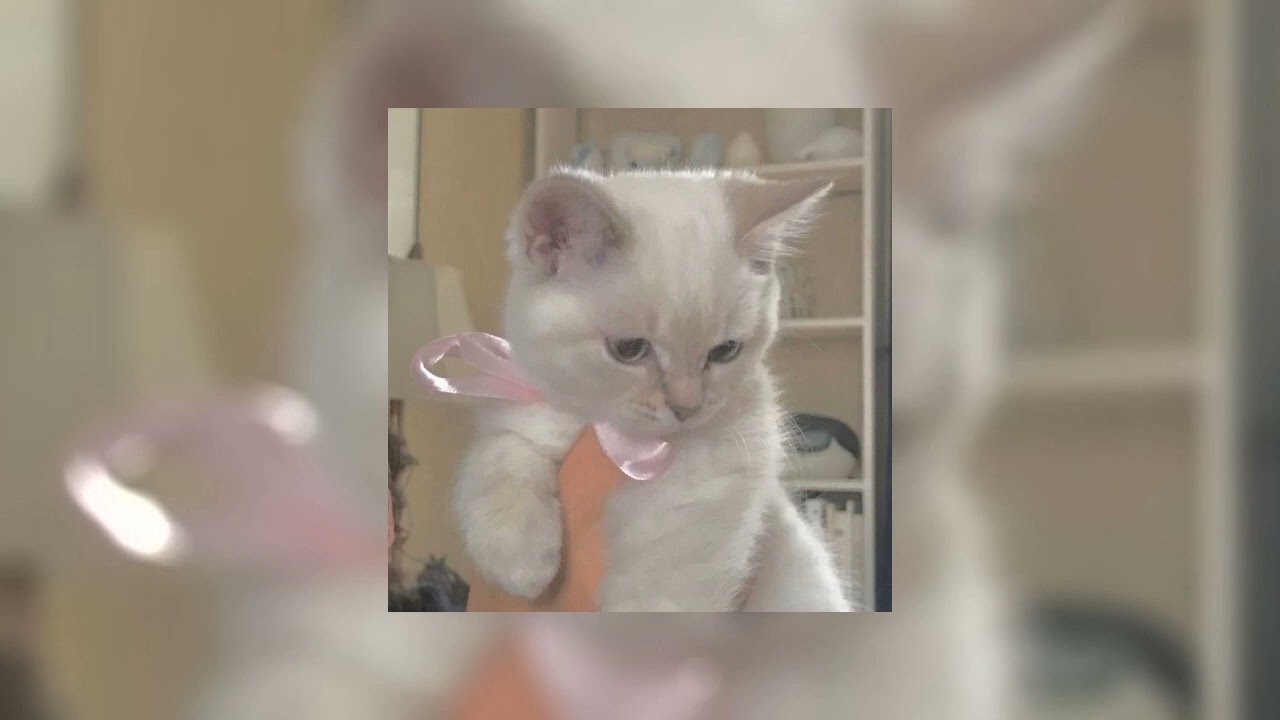 Princess Chelsea ~ Too Much People (sped up)