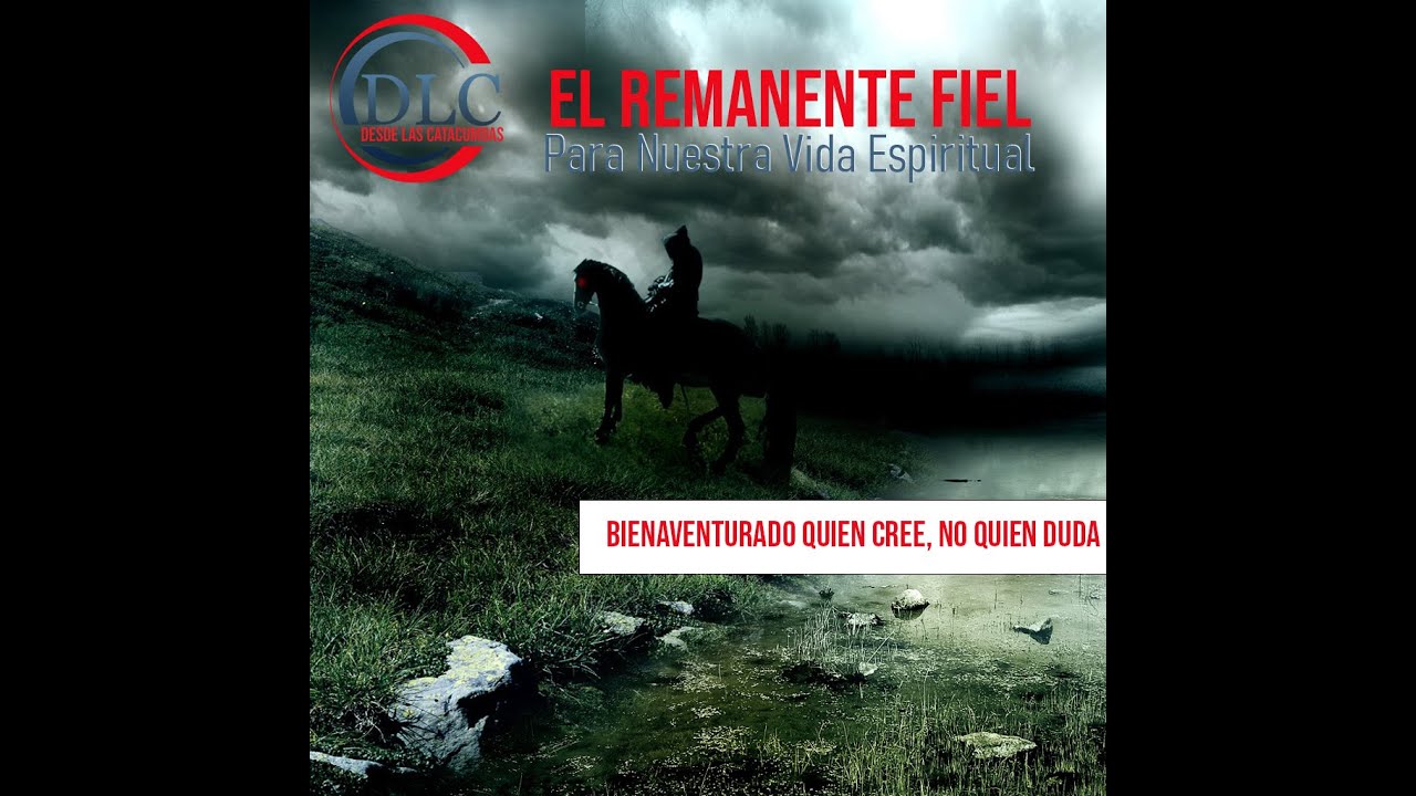 AVISO DE INTRODUCCION AL REMANENTE