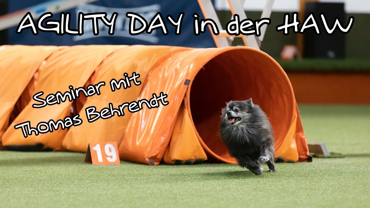 Agility Day mit Chewie & Vader | Agility Seminar in der HAW 2019