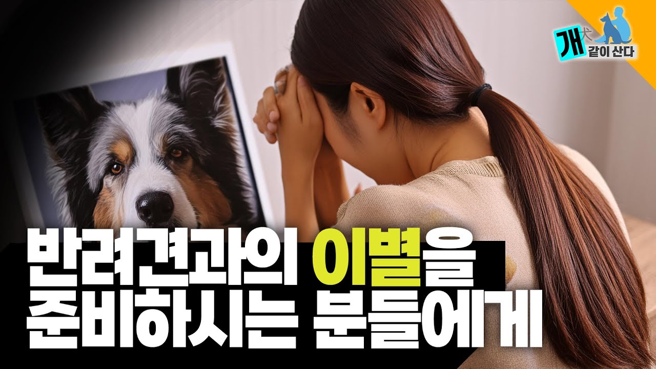 반려동물과의 이별. 반려동물을 기르는 사람이라면 겪어봤을, 겪어야하는 그 슬픔을 이겨내기 위해서는 어떻게 해야할까