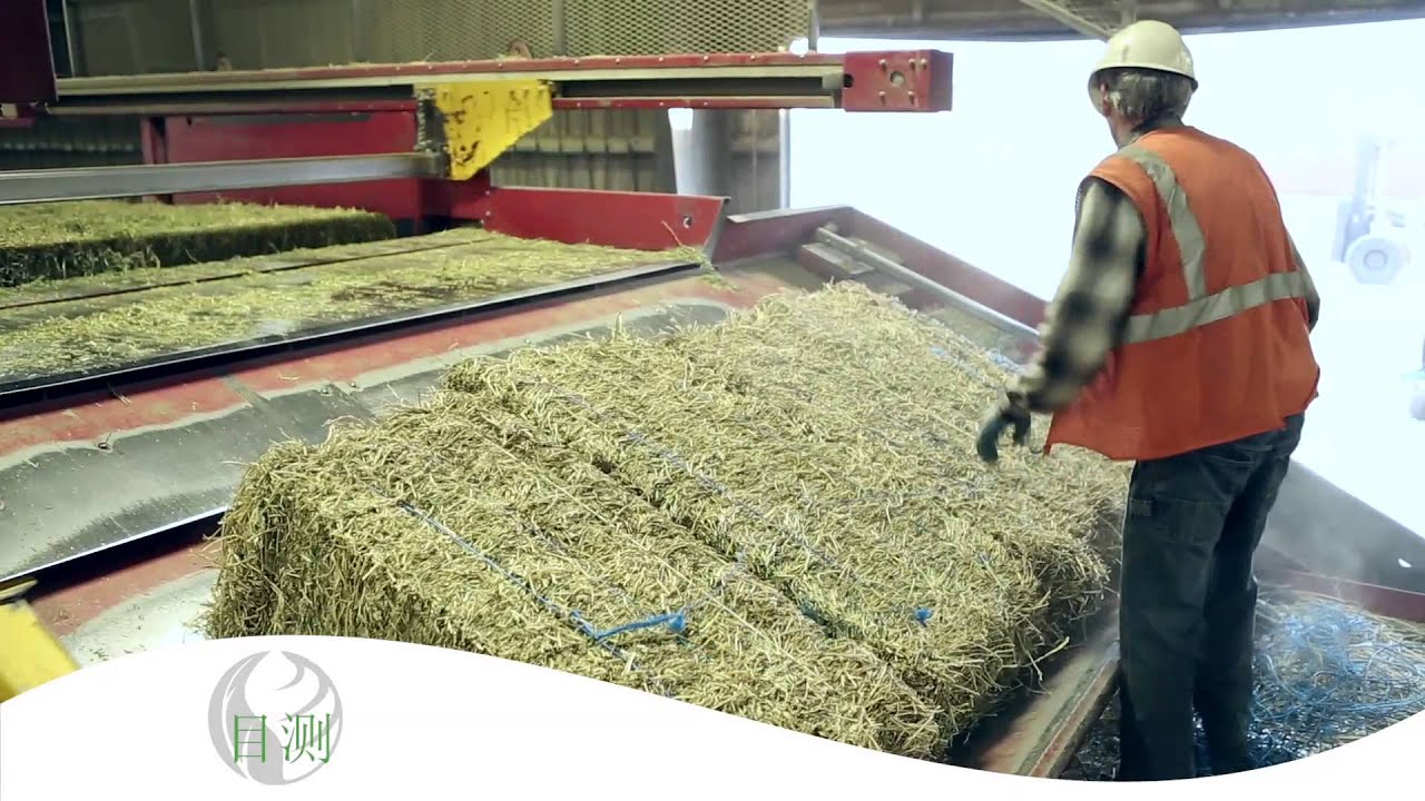 Calaway Trading Export Video - Chinese