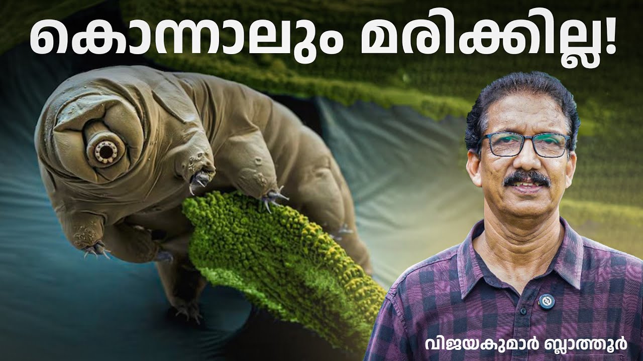 മരണംതോറ്റ എട്ടുകാലി #tardigrade ടാർഡിഗ്രേഡ്The Incredible Tardigrade #animalfactsvideos #malayalam