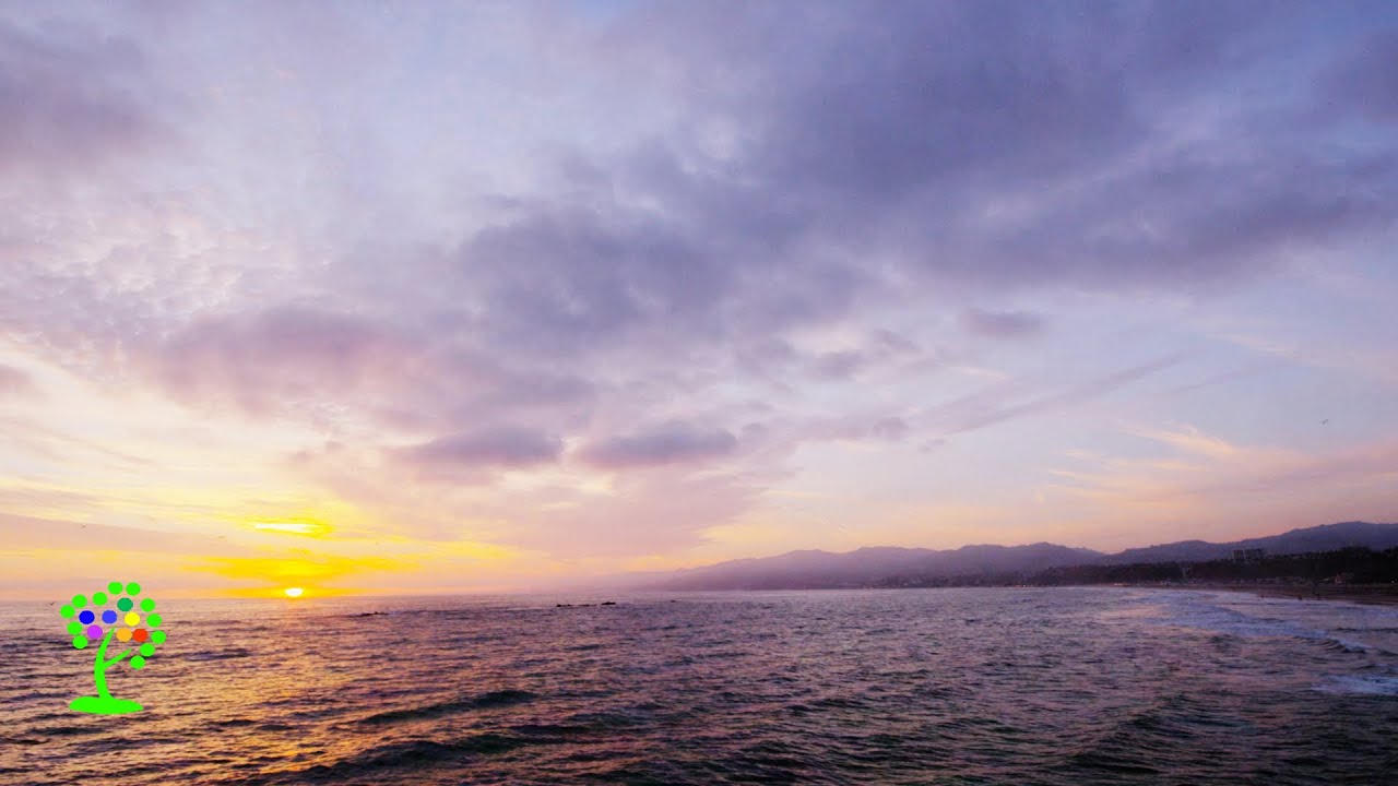 Calming Ocean Music 🌊