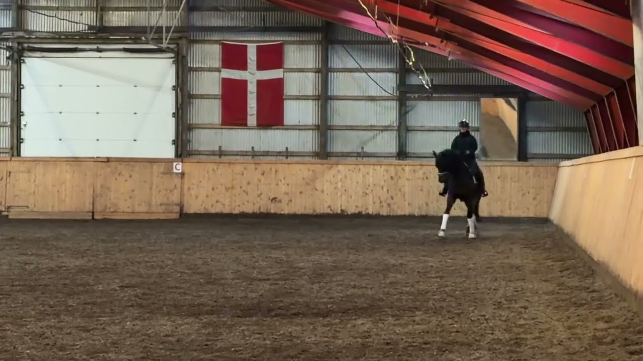 Hvid's Parzival salgsvideo, februar 2026