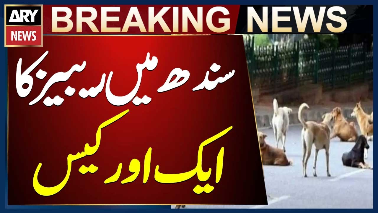 Another Rabies Case Reported in Sindh