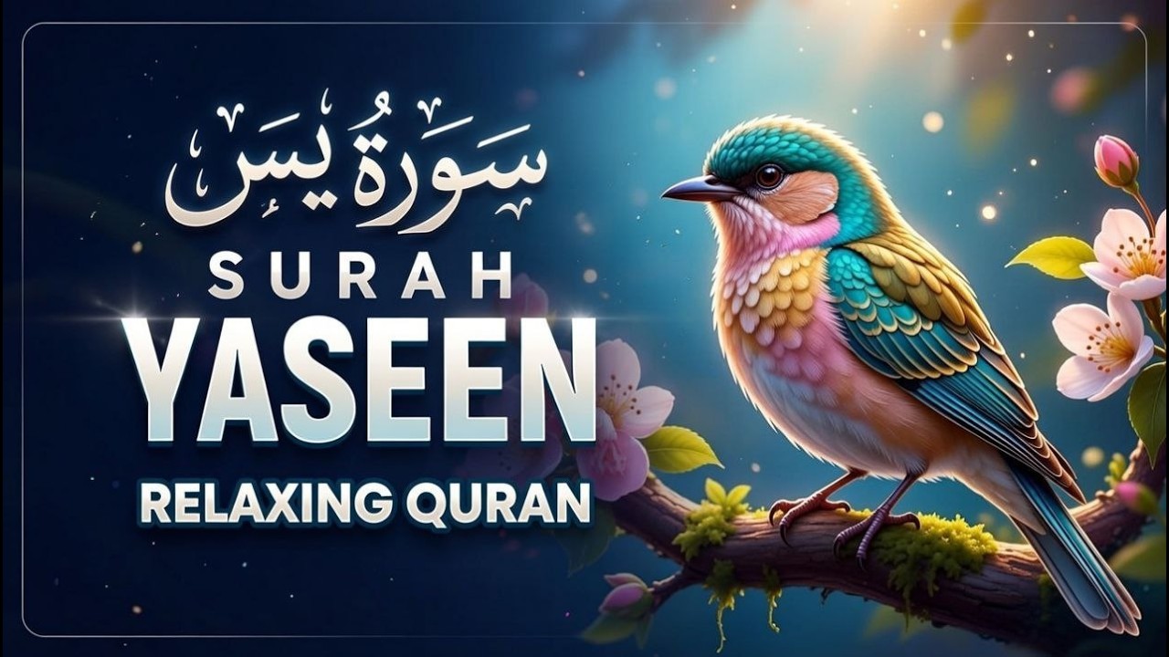 Surah Yaseen سورة يس | Heart-Touching Recitation for Peace & Blessings -Quran for Sleep #surahyasin