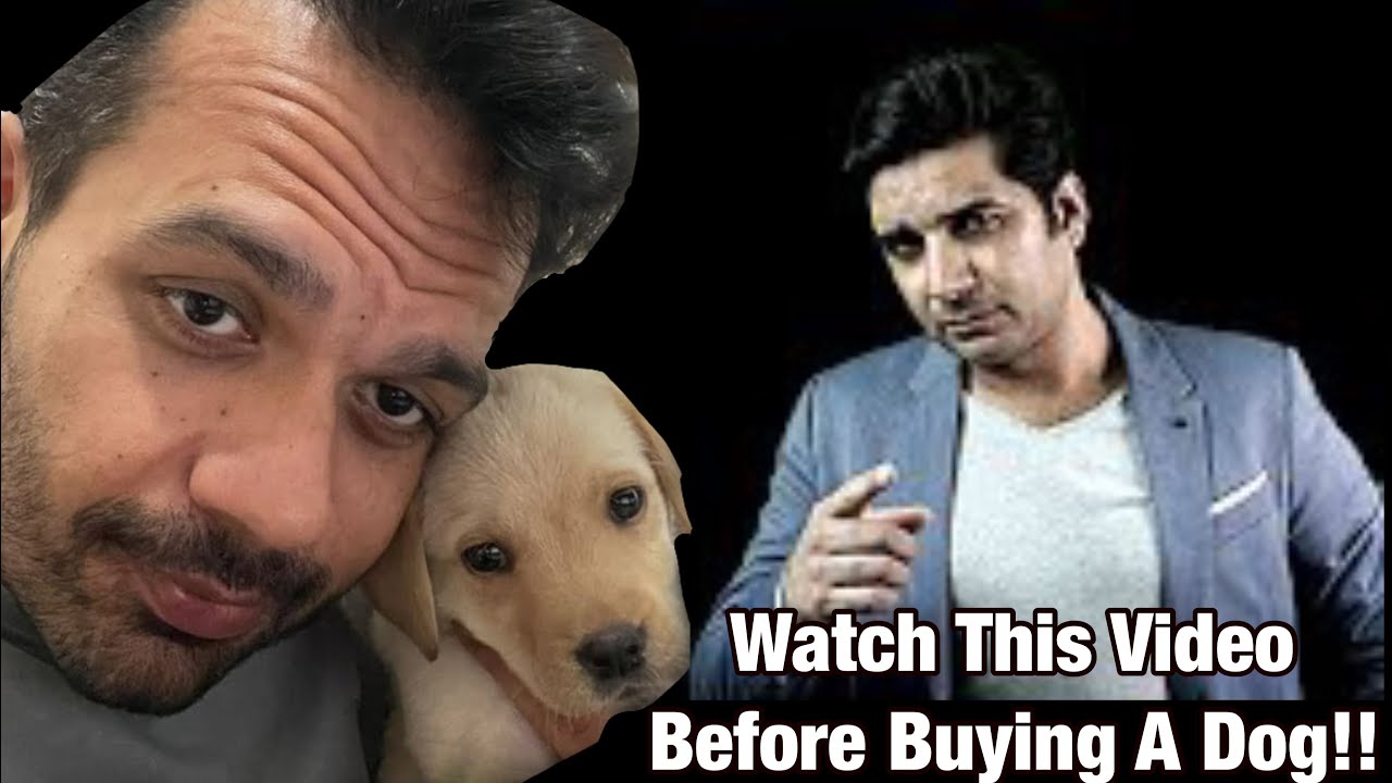 How to choose a puppy for your home | By Dr. Gaurav Sardana | Puppy Buying Guide | In Hindi