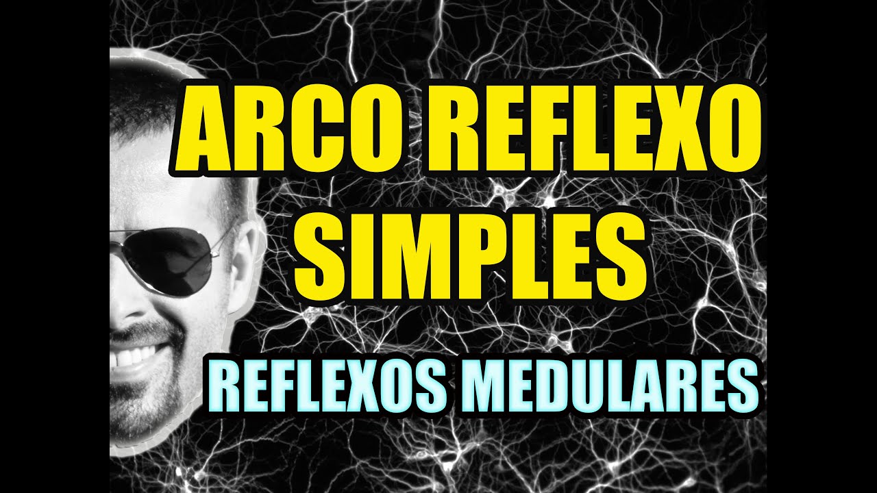 Vídeo Aula 131 - Sistema Nervoso/Neuroanatomia - Arco Reflexo: Reflexo de Estiramento e de Retirada
