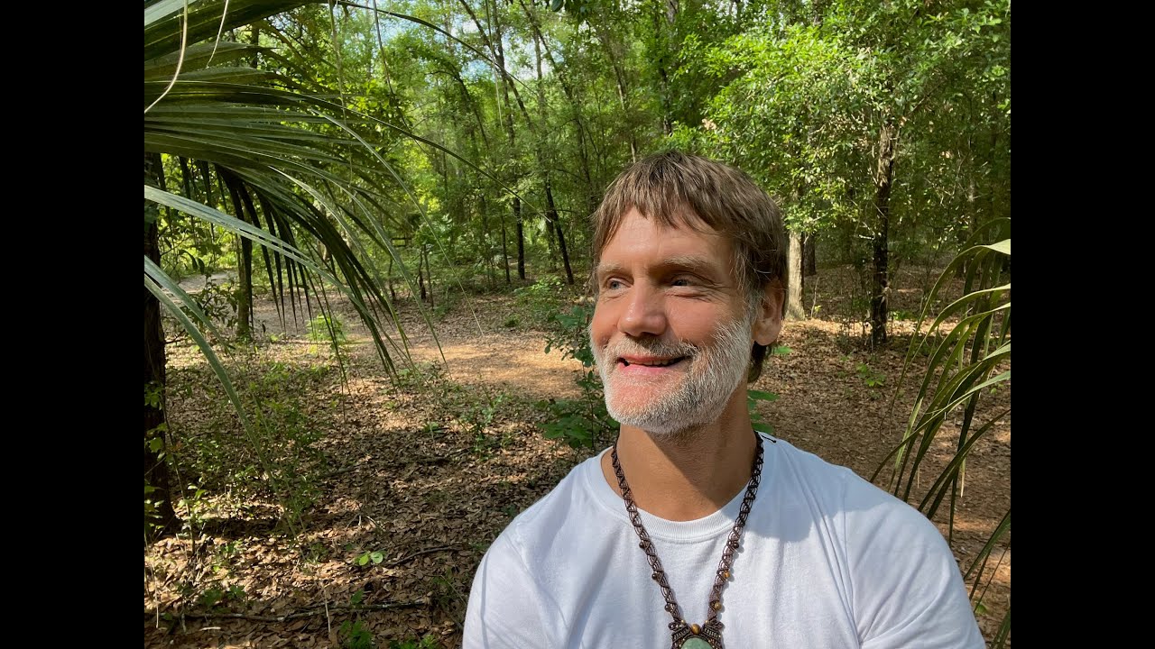 Your Higher Self Is Always Speaking To You! (How?)
