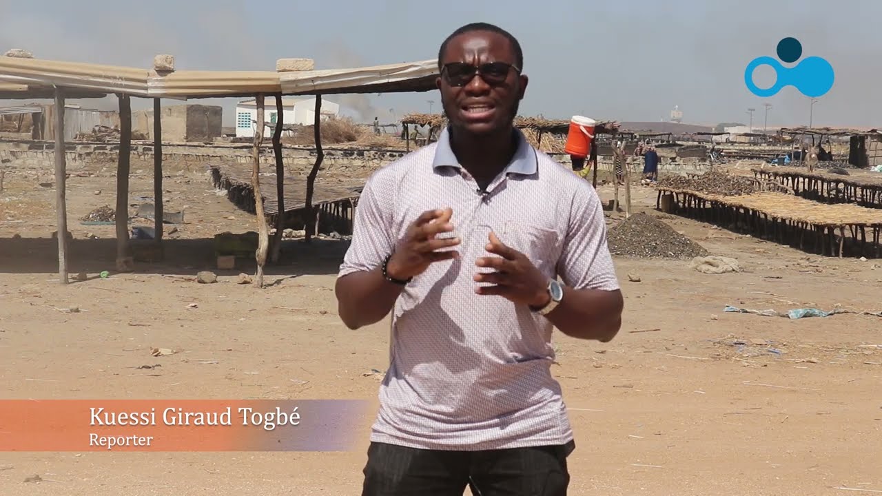 Sénégal/changement climatique : la science à la rescousse des petits pélagiques