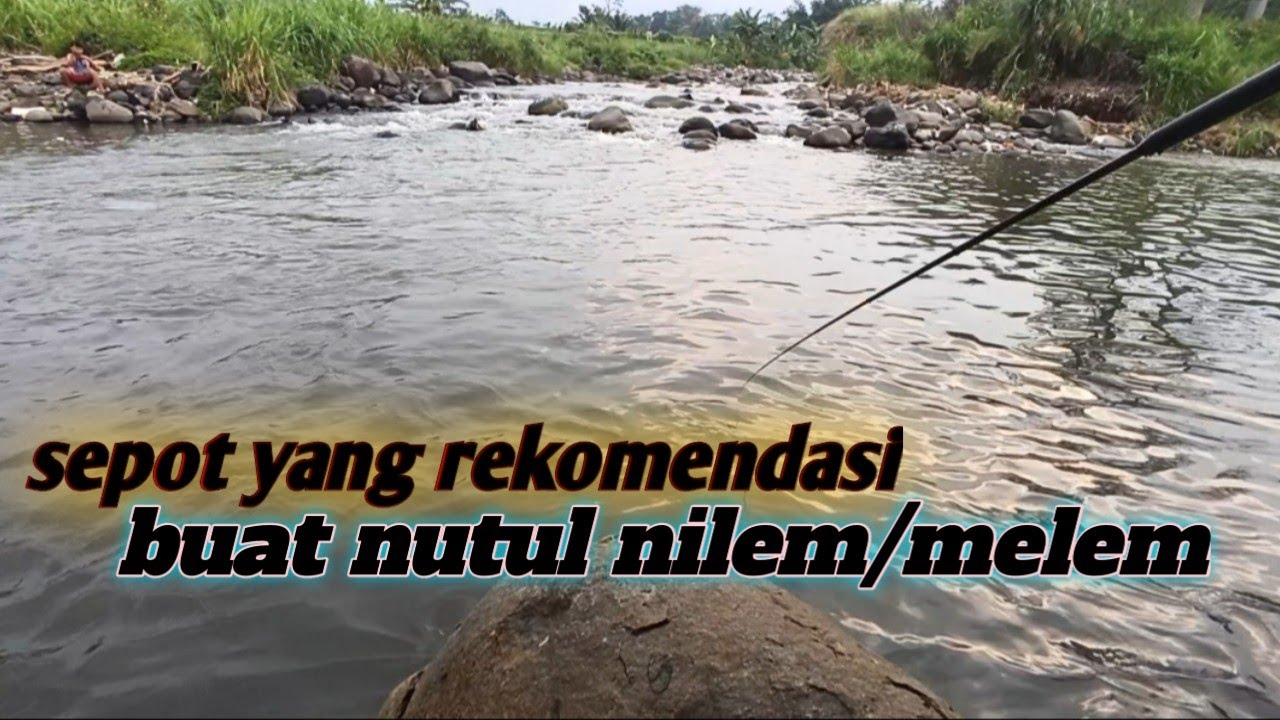 Nemu sepot yang rekomendasi buat mancing nilem/melem sungai cowek pasuruhan