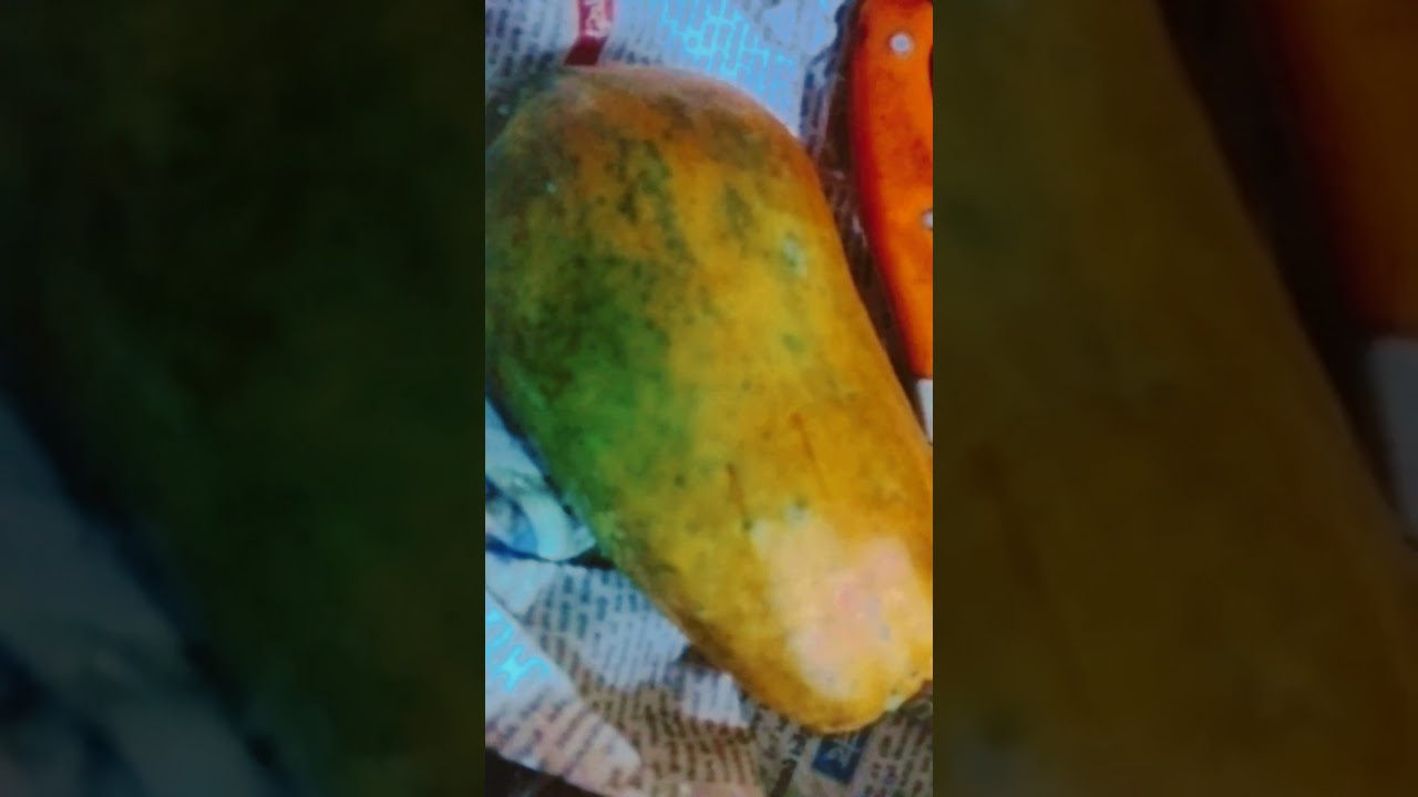 white papaya 
