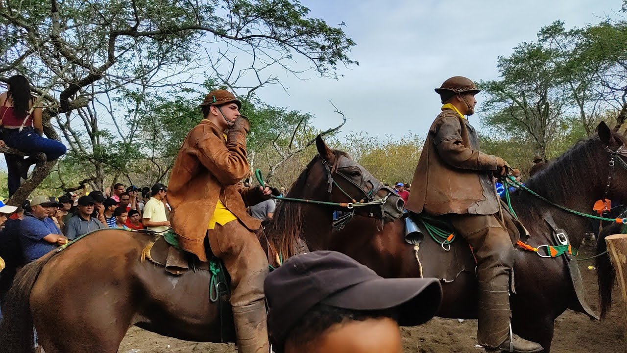 FAZENDA SERROTE DO JAPÃO. A MAIOR FESTA DE PEGA DE BOI NO MATO DO ESTADO DE AL. DIA 10/09/2023.