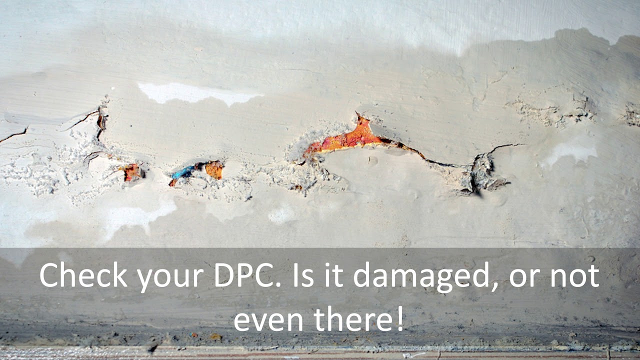 Damp Proofing Quotes - Average Price Guide - Cost Shed