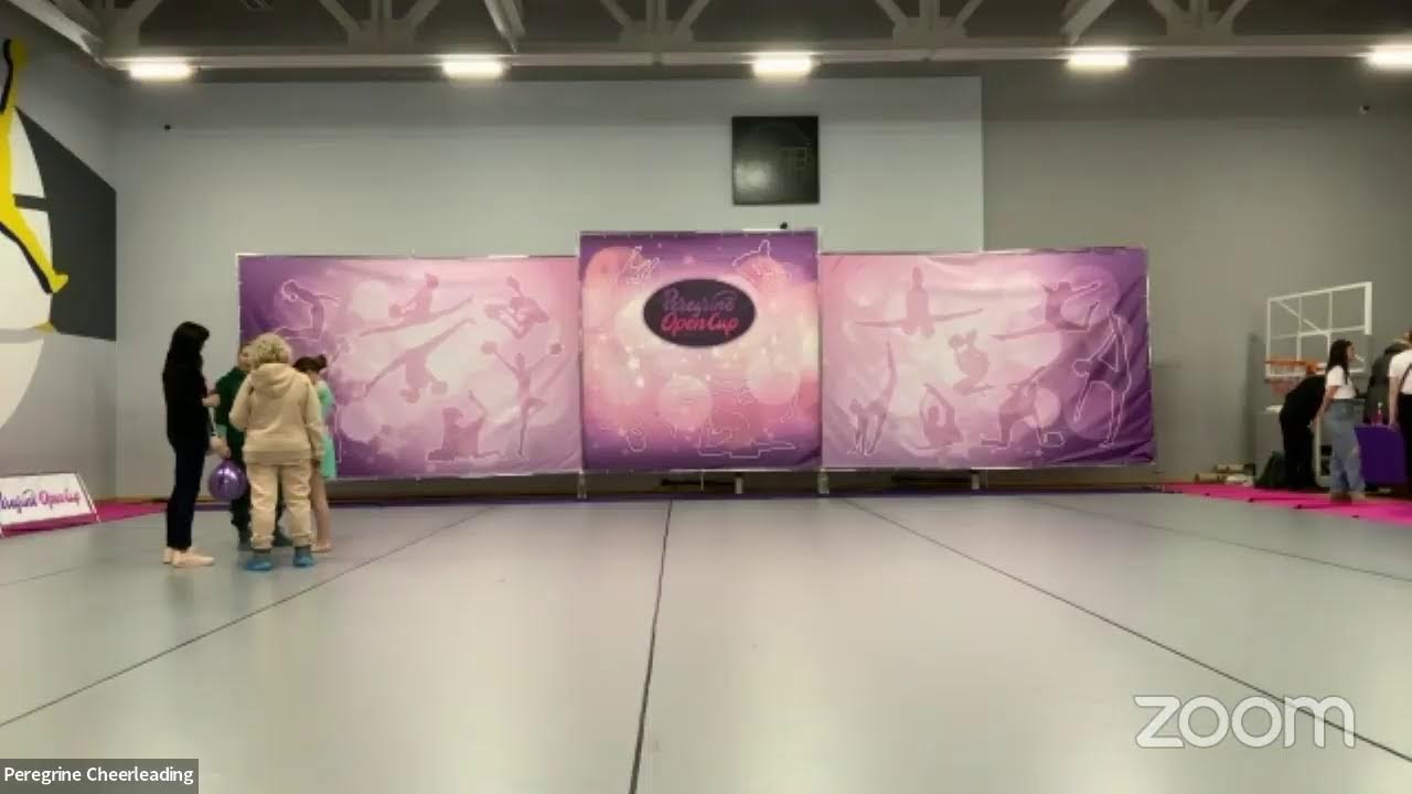 Турнір з чирлідингу Peregrine Cup 2024 (ФЧЧУ)