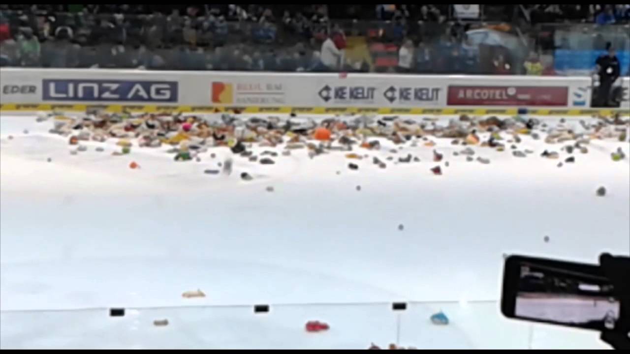 Teddy-Alarm bei den Black Wings
