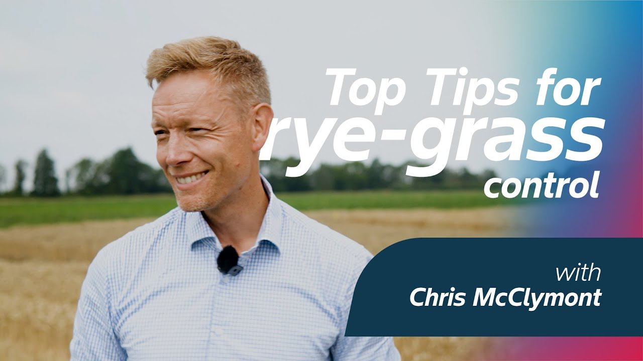 Top tips for rye-grass control