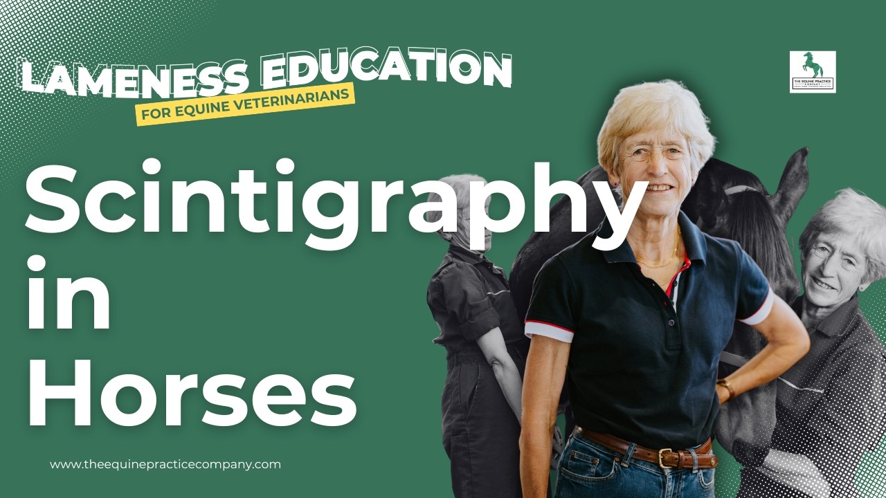 Scintigraphy in Horses: What Every Equine Vet Must Know