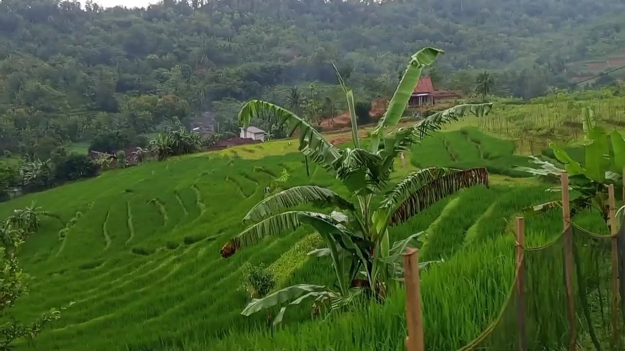Pemandangan di desa yang indah