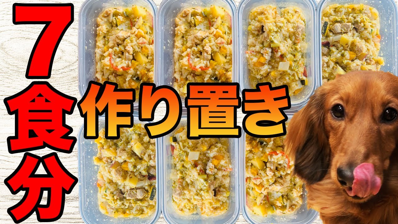 【簡単】手作り犬ご飯の作り方！７食分の作り置きできるラクちん健康レシピ大公開