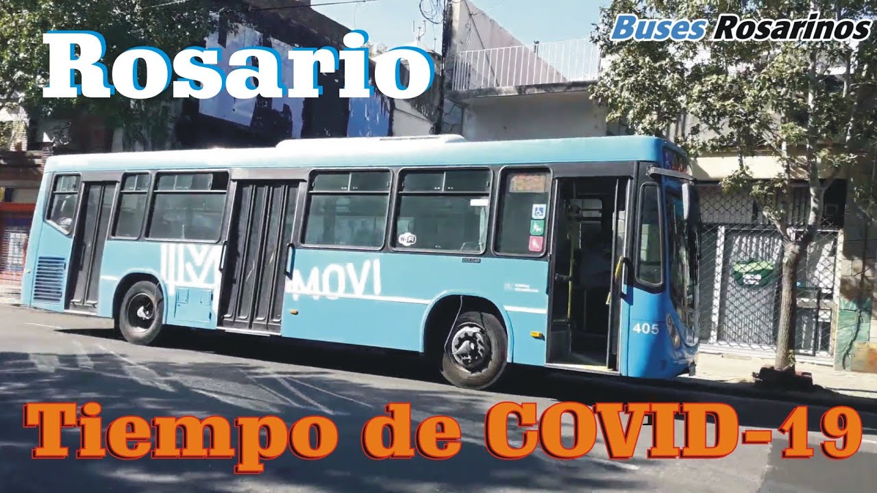 Colectivos en COVID 19