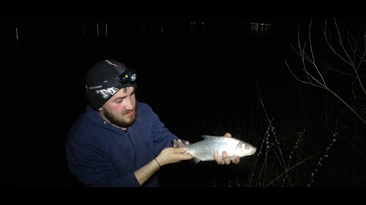 Pscuit la method feeder pe Dunare, Apa la cote maxime si Morunasi foarte energici!