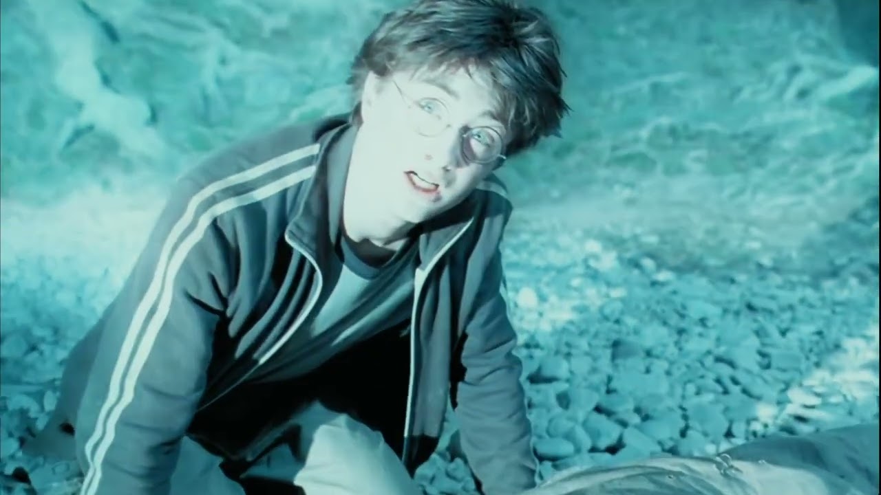 Harry Potter and the Prisoner of Azkaban - Moony, Wormtail, Padfoot and Prongs / The Dementor's Kiss
