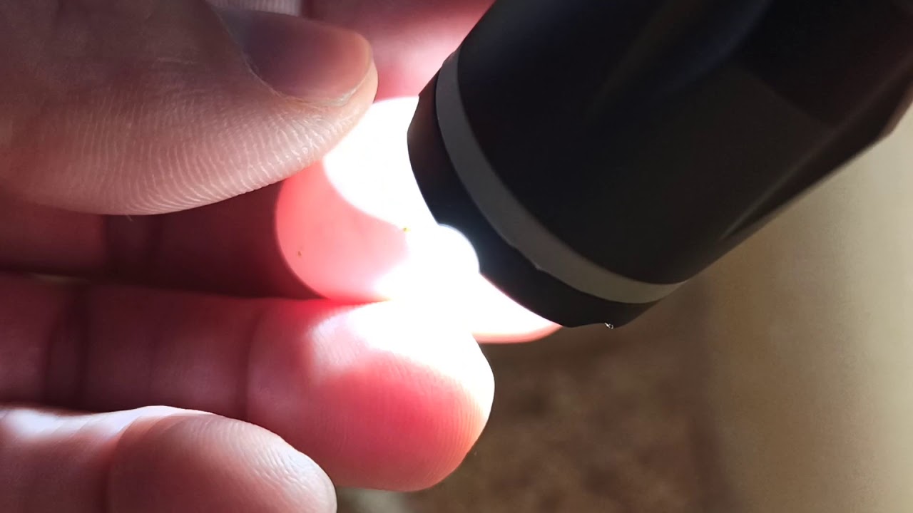Como saber si los huevos están fecundados