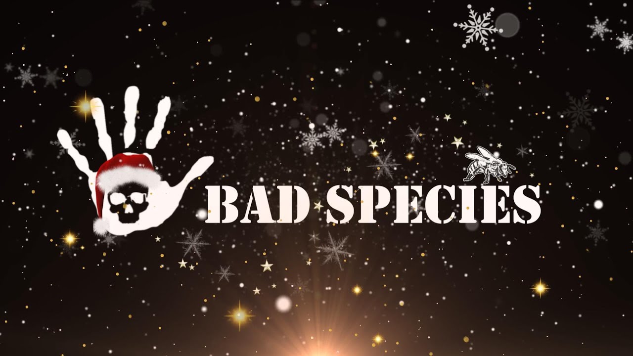 La magie de No&euml;l s'est install&eacute;e chez BAD SPECIES ! Profitez d'offres exclusives !