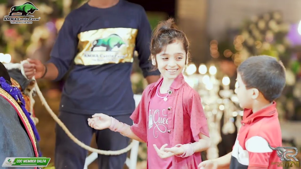 Some Glimpse of Event Day | AMMA Cattle Farm | #cowmandi #cattlefarm #bakramandi #ammacattlefarm
