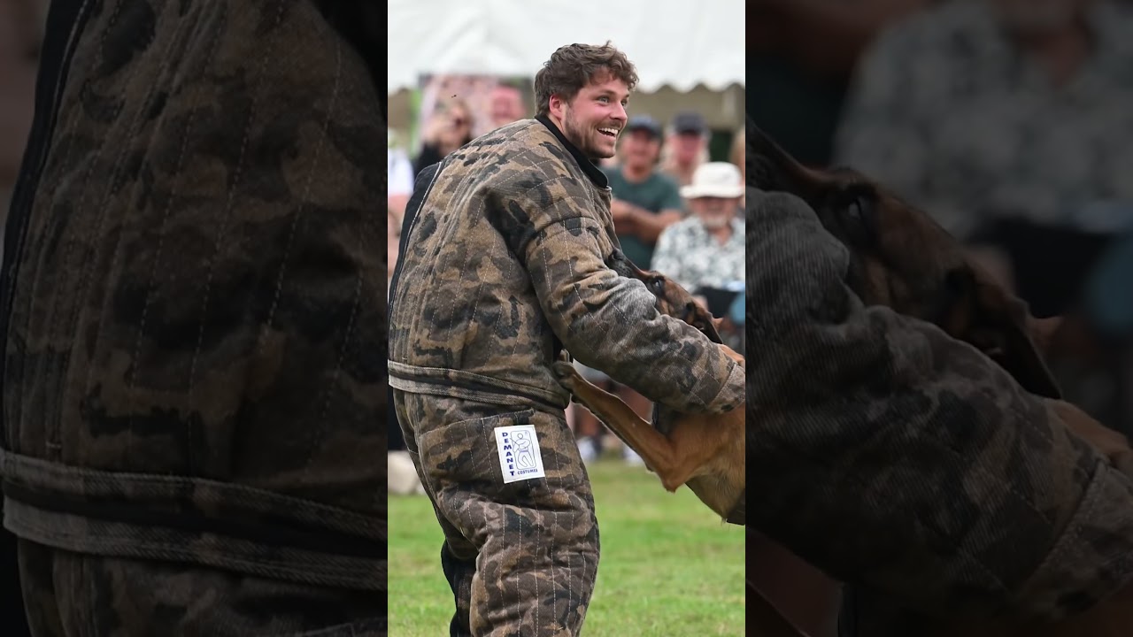 Before Vs After Getting Attacked By An Anti-Poaching Dog