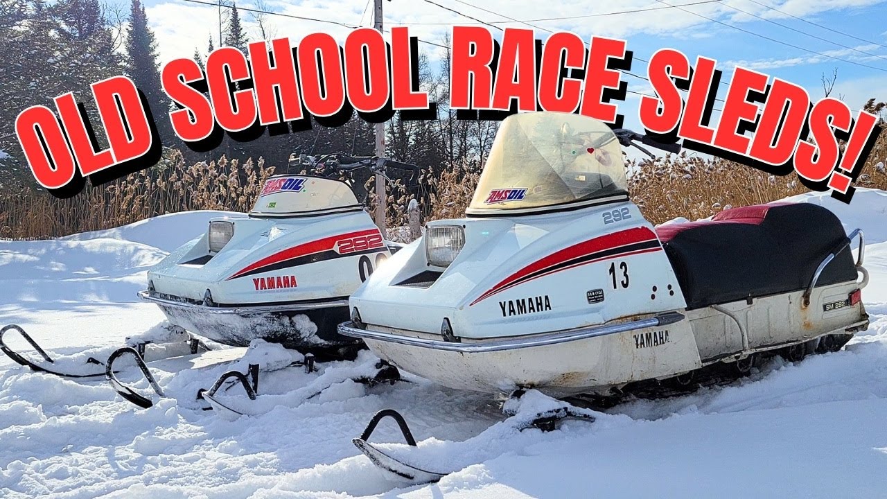Saving Two Yamaha 292s That Haven't Run in YEARS!