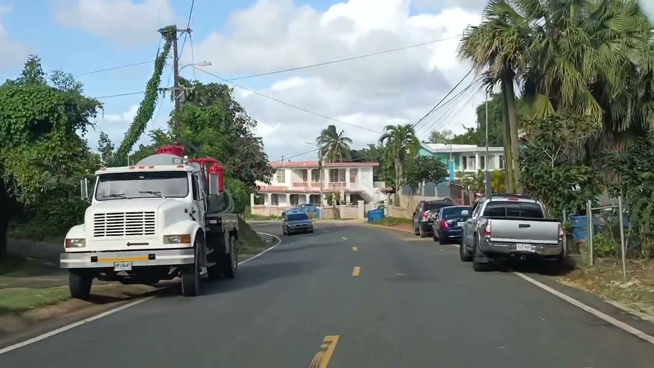 UNA AVENTURA POR PALMAR ENTRE MOCA Y AGUADILLA.