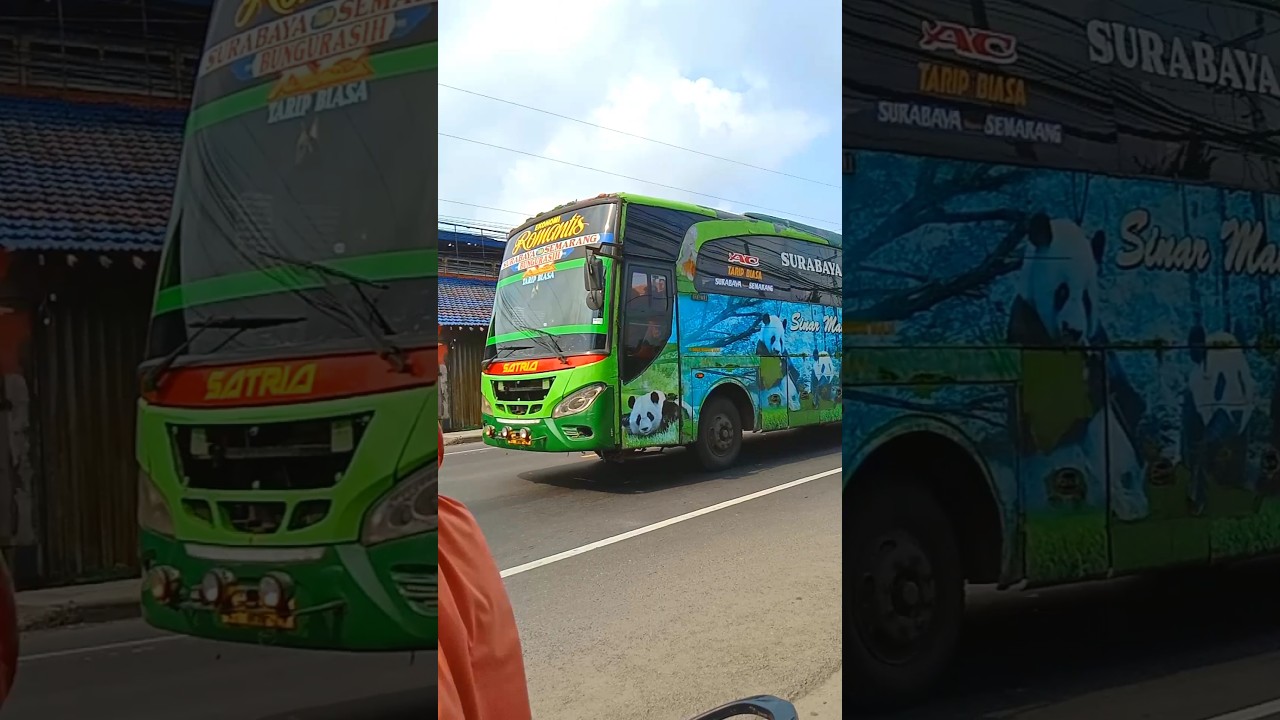bus antar kota antar propinsi #shorts