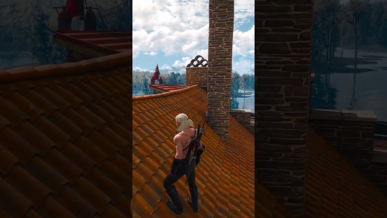 Only players with 300% focus notice this in Witcher 3