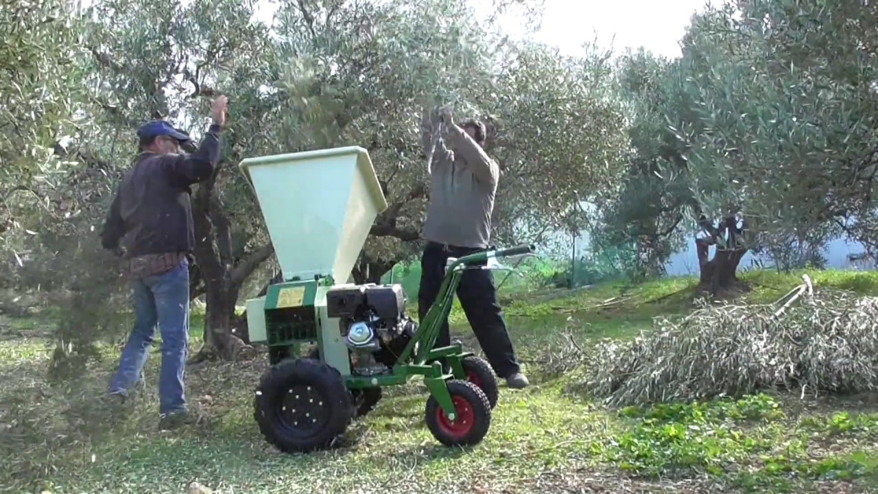 ΘΡΥΜΜΑΤΙΣΤΗΣ ΚΛΑΔΙΩΝ ΑΥΤΟΚΙΝΟΥΜΕΝΟΣ