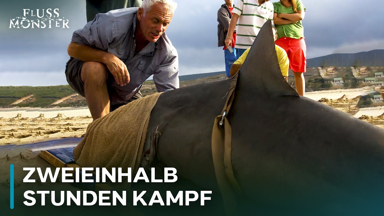 Der GR&Ouml;SSTE Fisch, den Jeremy je gefangen hat | Fluss Monster