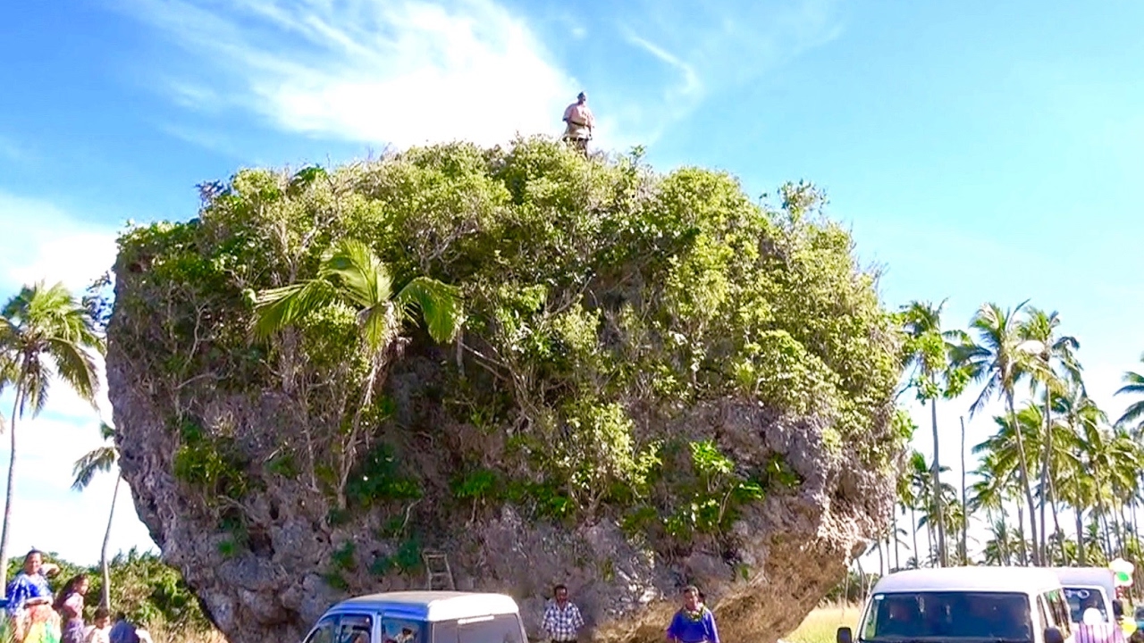 World's Largest Tsunami Debris - Maui's Rock - Tsunami Rock Tonga