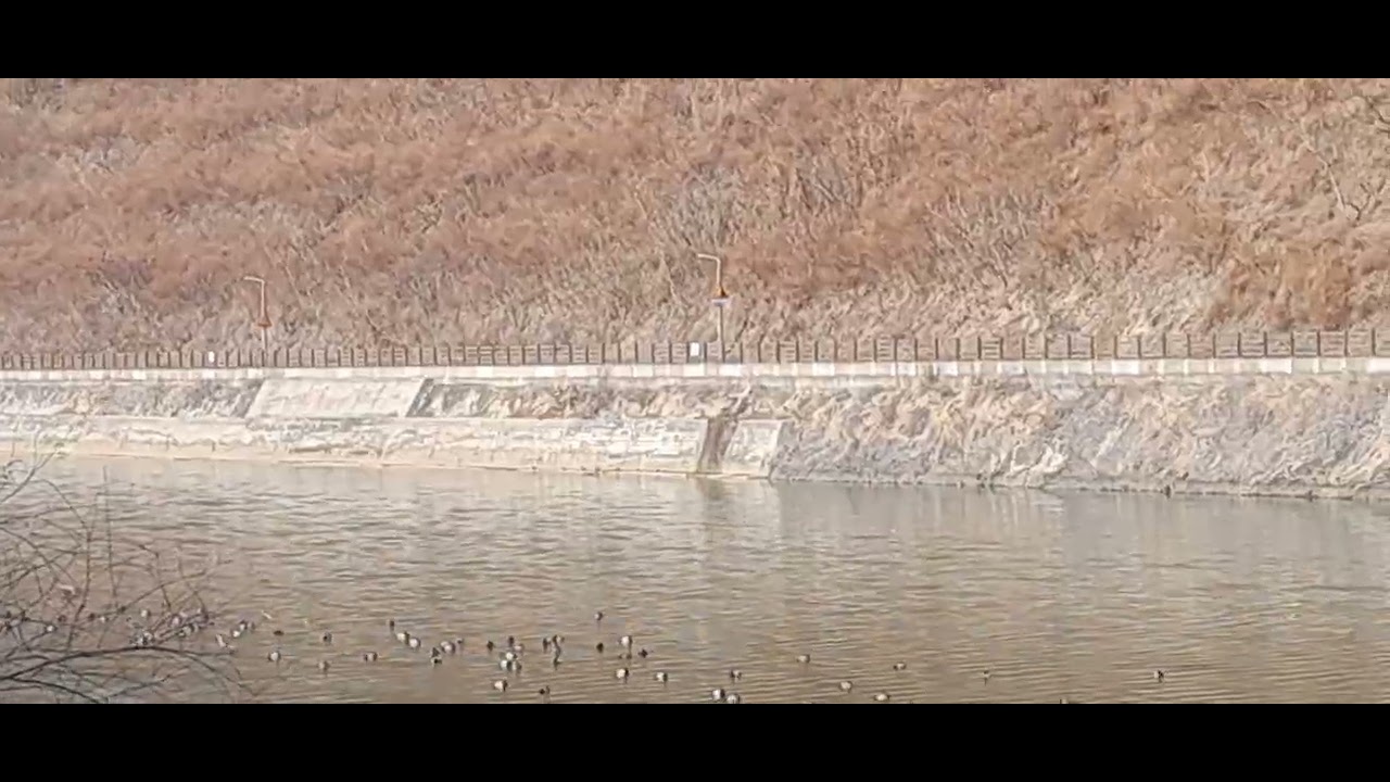 비내리는 고모령(노래  황한순)