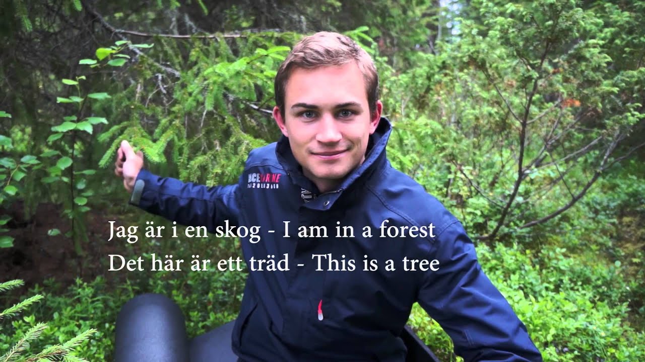 Learn Swedish, Lesson 1: Useful Phrases