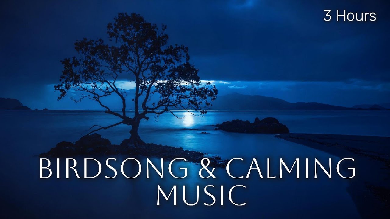 Blue Screen &ndash; Calming Music & Gentle Birdsong for Sleep, Study & Relaxation (3 Hours)