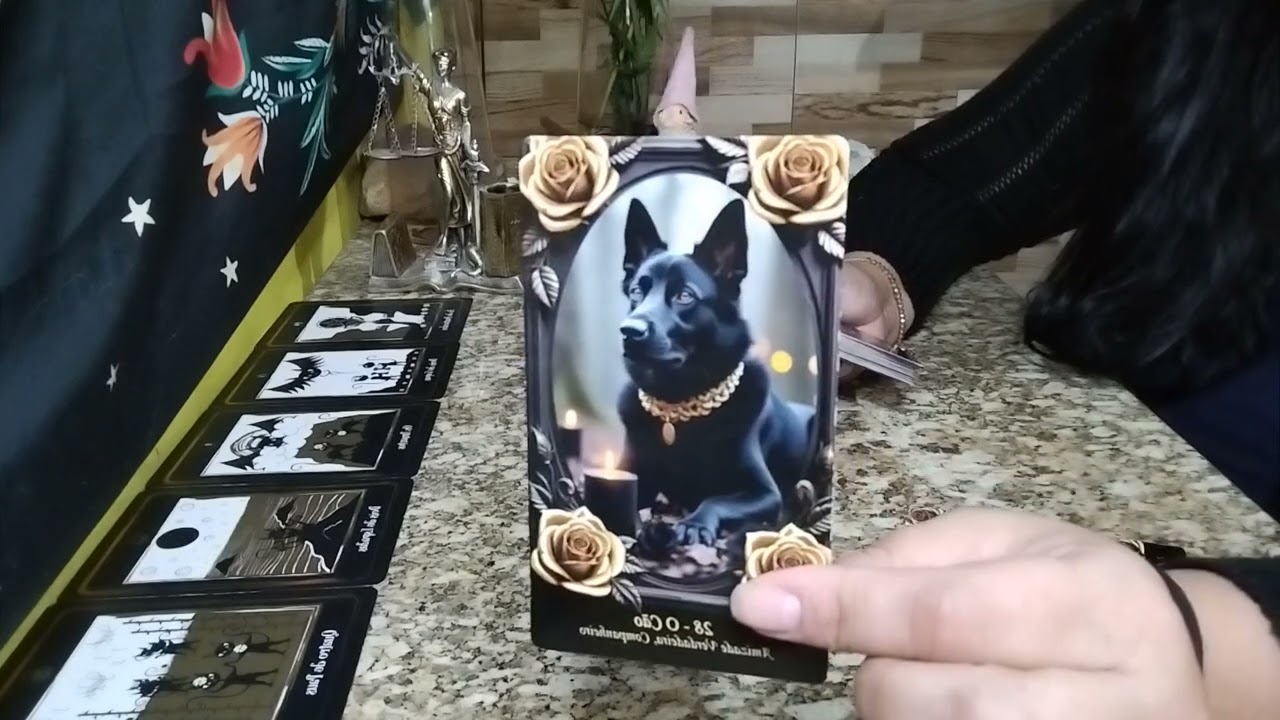 Você🫵🏻 é a pessoa que fez ele/a dar valor ao próximo,a prepotência cai por terra e hoje te dá razão😱
