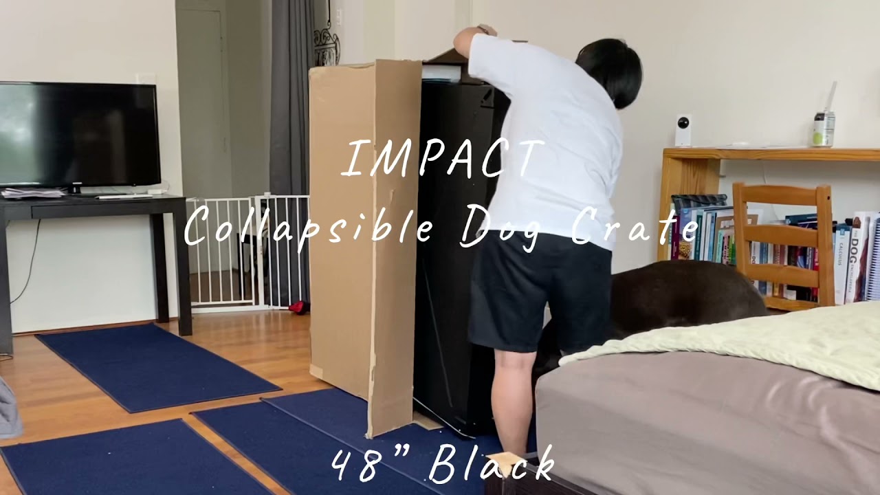 Unboxing IMPACT Collapsible Dog Crate