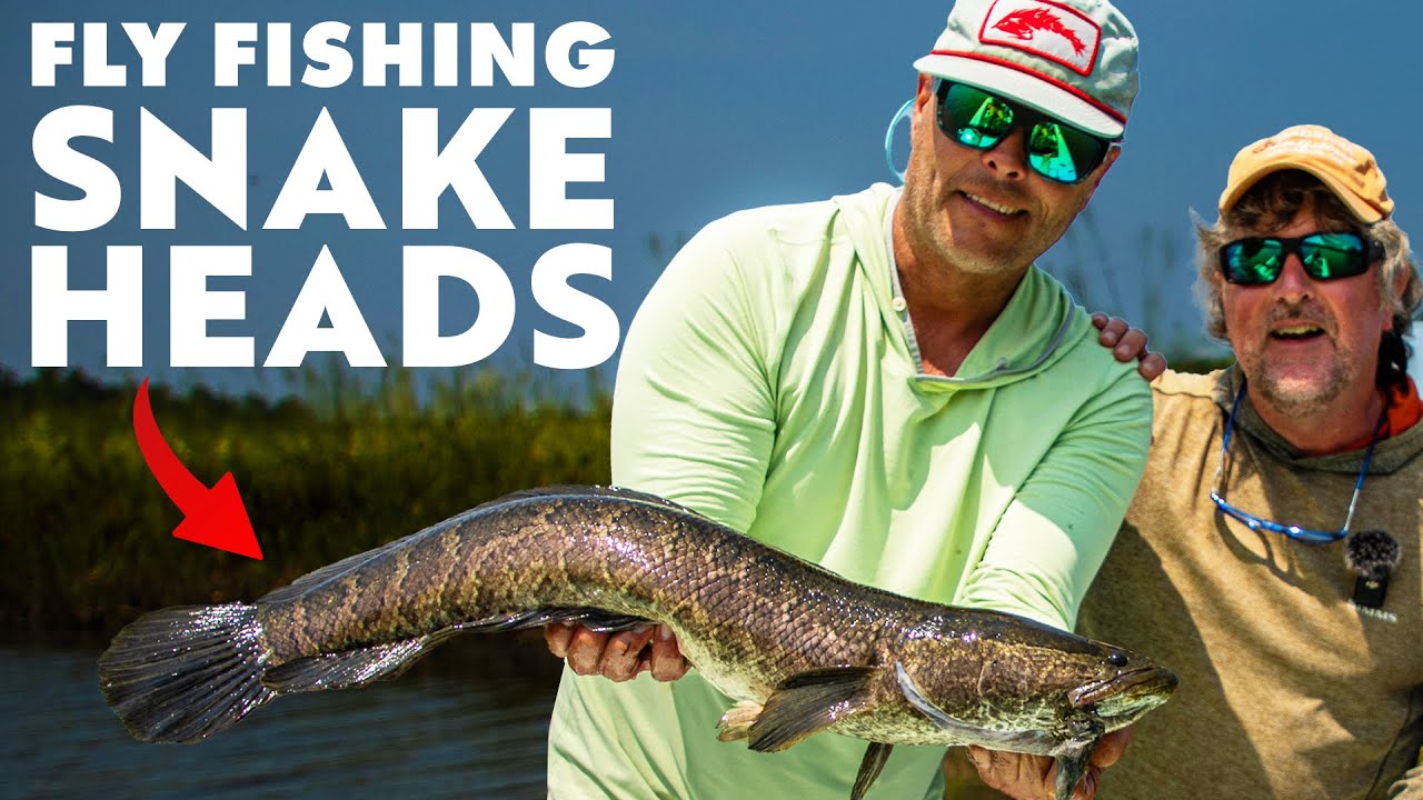 Fly Fishing in Virginia is Crazier Than I Thought!