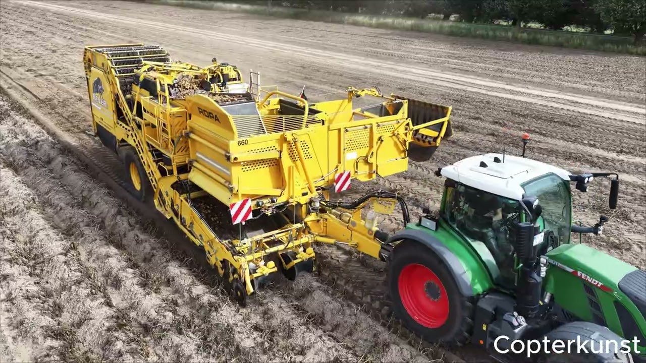 Kartoffelernte in der Börde 2025 mit Fendt Vario 722 und Ropa Keiler 2