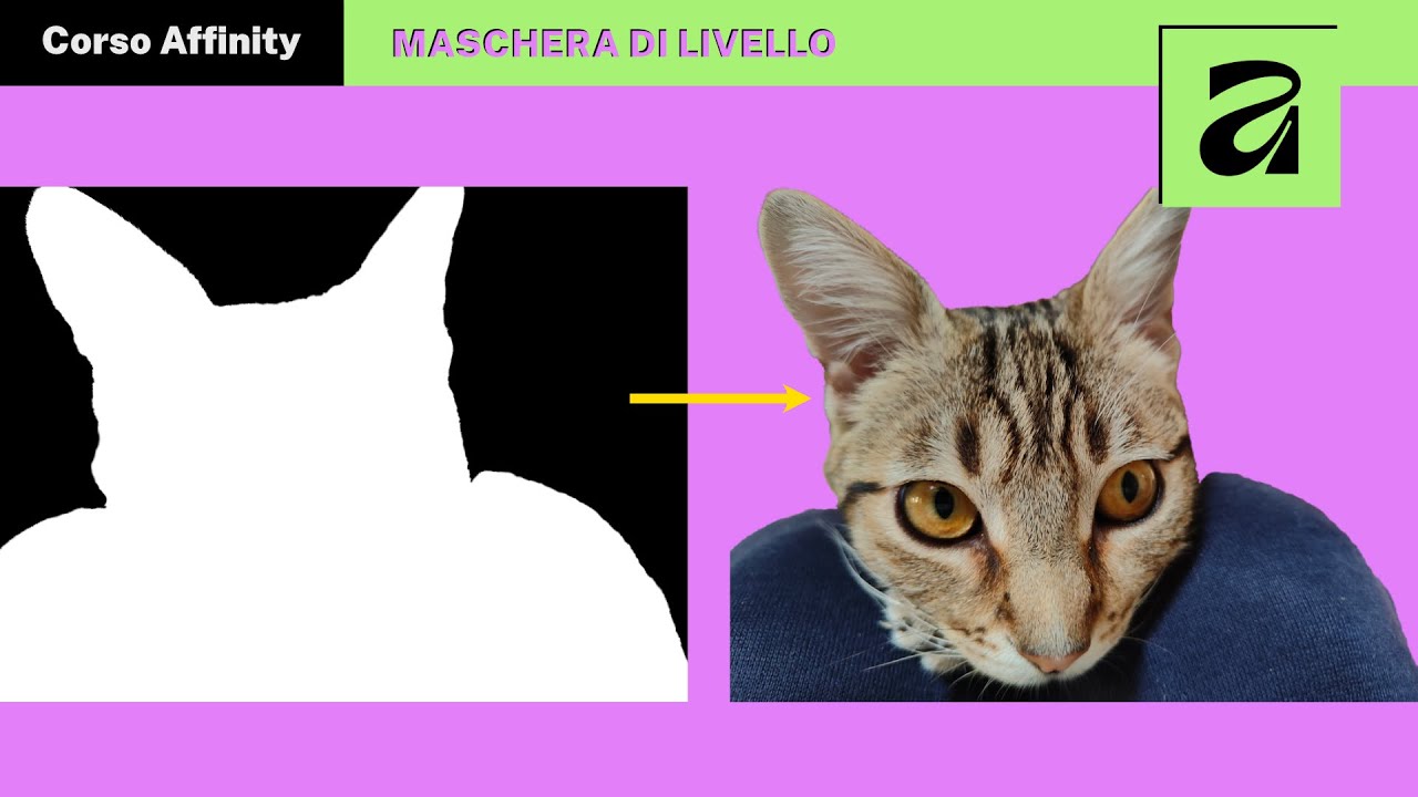 La MASCHERA DI LIVELLO spiegata semplice (in Affinity)
